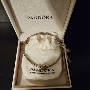 Pandora Charm Bracelet
